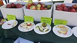 Apfelsortenvergleich auf der Landesgartenschau in Öhringen (2016)