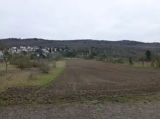 Blick von einem Wirtschaftsweg westlich von Malchen ostwärts zum Langenberg: Ilbes-Berg (links, oberhalb von Malchen), mittlere Kuppe (mittig), südliche Kuppe (mittig rechts), Teil des Galgenbergs (am Bildrand rechts)