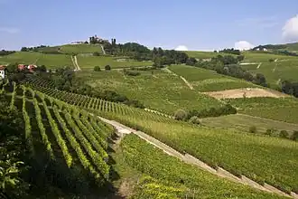 Typische Langhe Landschaft