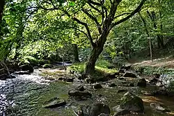 Les chaos de la Rance