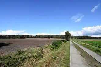 Blick auf die bewaldete Larberger Egge