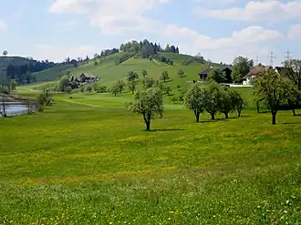 Die Laubegg von Osten
