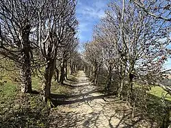 Laubengang beim Schloss Kastelen