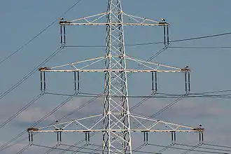 Sieben Storchennester auf nur einem Strommast