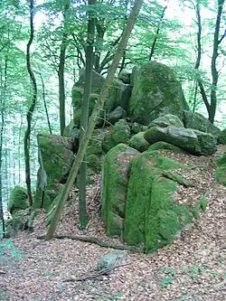 Eine ähnliche Wilde Frau-Sage verbindet sich mit dem Wildweibchenstein am Osthang der Germannshöhe bei Laudenau.