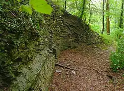 Torzwinger mit hohen Mauerresten