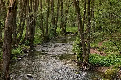 Die Inde im Naturschutzgebiet Gedau