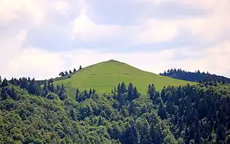 Gipfel des Drumont (Foto: Ernst Andre)