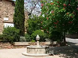 Die Mühle im Zentrum