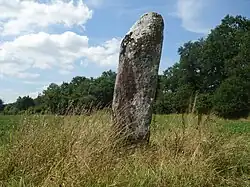 Menhir von Hautes Landes