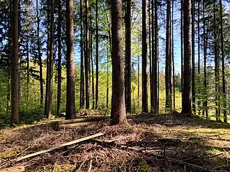 an der höchsten Erhebung