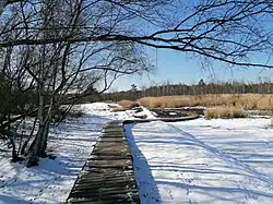 Lehrpfad, Zustand Februar 2025