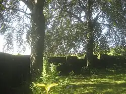 Rondell (17) mit den zwei Buchensolitären von innen