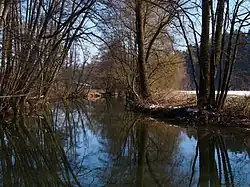 Naturnahes, von Schwarz-Erlen gesäumtes Flussbett der Lein unterhalb von Leinzell
