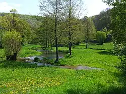 Renaturierte Leinleiter