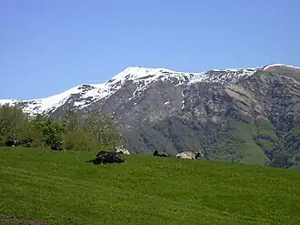 aus dem Val Veddasca