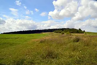 Naturschutzgebiet am Biesterberg