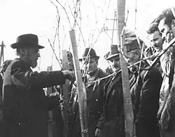 Lenz Moser bei der Demonstration des Schnittes eines Hochkulturstockes.