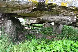 Pierre couverte du Mousseau