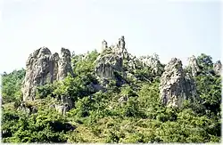 Les Demoiselles du Caraybat