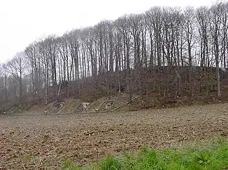 Der Lettenberg mit den vier Bunkern