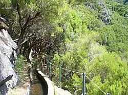 Levada do Caldeirão Verde