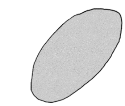 Levalloiskern und bevorzugter Zielabschlag