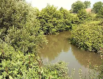 Die Liane bei Hesdigneul-lès-Boulogne