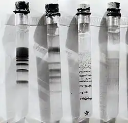 Experimentell erzeugte Liesegangsche Ringe