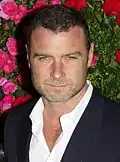 Liev Schreiber spielt Ray Donovan