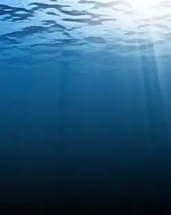 Tageslichteinfall in Meereswasser