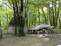Dolmen Peyre Levade