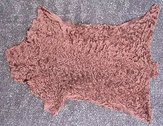 Lincoln-Lammfell gefärbt