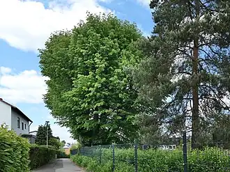 Ansicht von der Stendellstraße