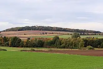 Thieder Lindenberg von Südosten (2012)