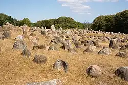 Gräber aus dem Jahr 1000