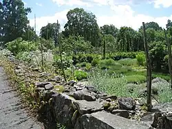 Gartenmauer beim Kräutergarten