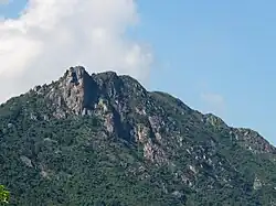 Lion Rock – Ansicht, 2013