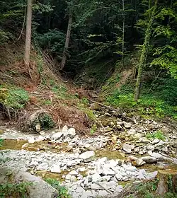 … vor dem Taatobel, beim Zusammenfluss von Fallbach (von links) und Sulzbächli (von oben)