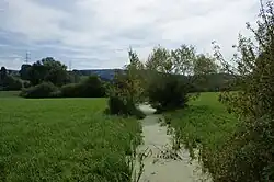 Lobsigensee – Abfluss Seebach