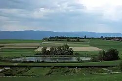 Lobsigensee – Hintergrund Ausläufer des Jura