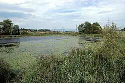 Lobsigensee – Sicht von Aussichtsplattform über See gegen Nordosten mit Aspi bei Seedorf im Hintergrund