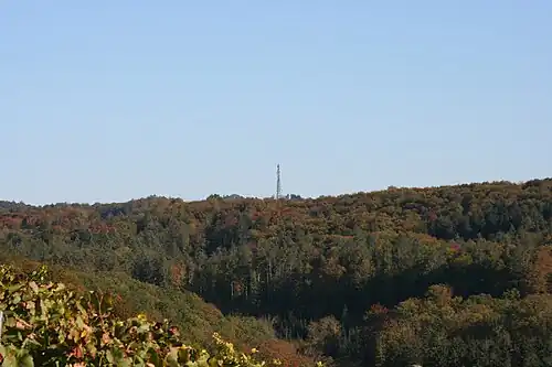 Blick von der Kohlebene bei Farnersberg in Richtung Ostsüdosten zum Stocksberg bei Stocksberg