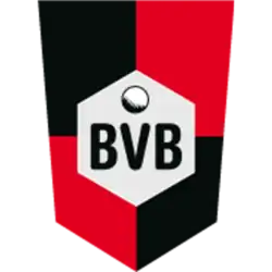 SV BVB 49