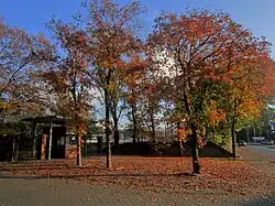 Heinz-Dettmer-Stadion – Sportstätte des TuS Blau-Weiß Lohne