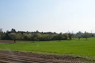 Felder und Streuobstwiesen auf dem Berger Rücken