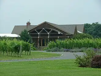 Weingut und Rebgarten auf Long Island
