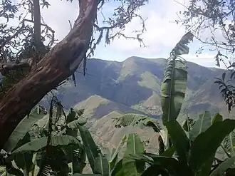 Landschaft von Balboa