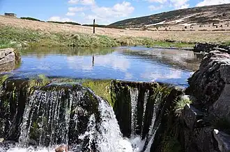 Bächlein auf der Weißen Wiese