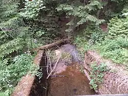 Ludergraben kurz vor der Mündung